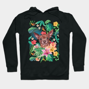 Tropical Short Haired Chocolate Chihuahua Hoodie